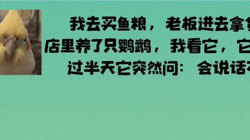 调味品收纳瓶，如何选择加盟代理？**