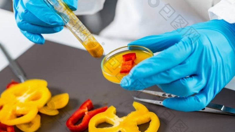 揭秘小型餐饮供应链加盟：条件与考量
